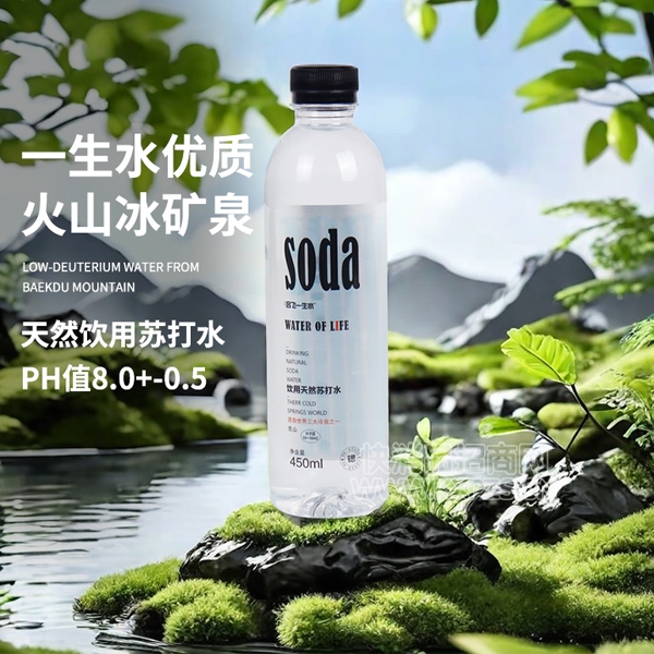 ����һ��ˮ������Ȼ�մ�ˮ450ml