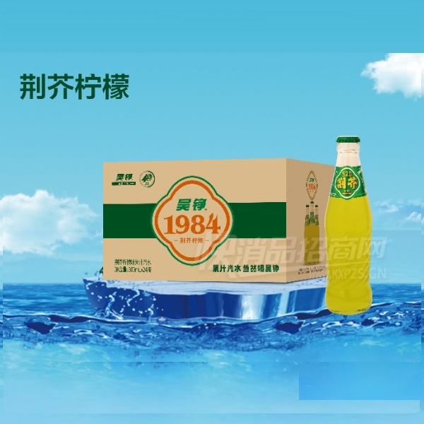 ֭ˮ̼Ͼ300ml24ƿ