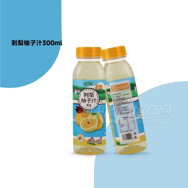 ӯԪ֭Ϲ֭300mlƷͼ