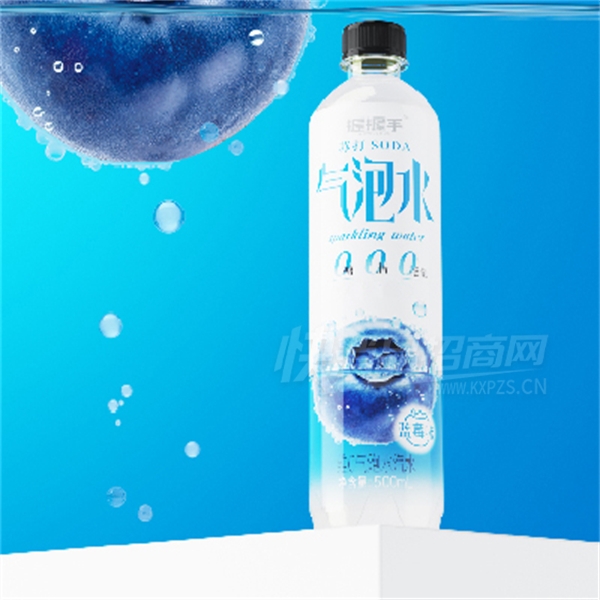 ˮˮ500mlݮζƷͼ
