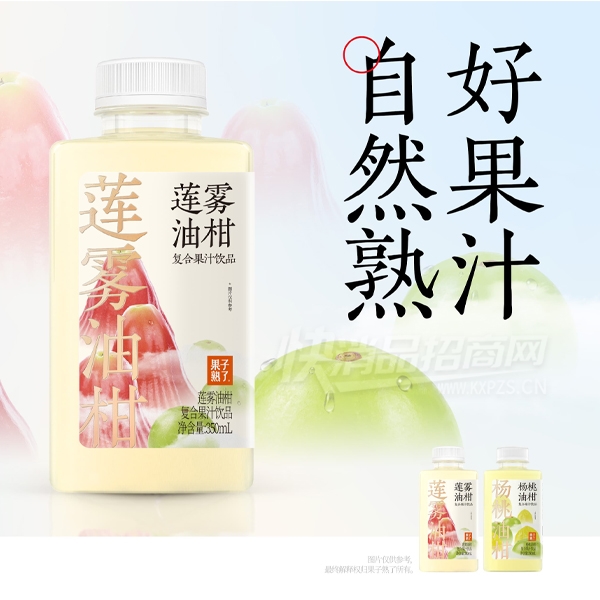 �������������͸̸��Ϲ�֭��Ʒ350ml