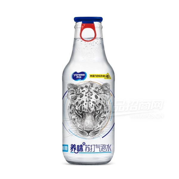 ��ζ�մ�����ˮ̼�������մ�ˮ