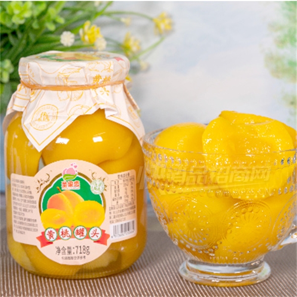 ʥˮͷʳƷˮҹͷ718gƷͼ