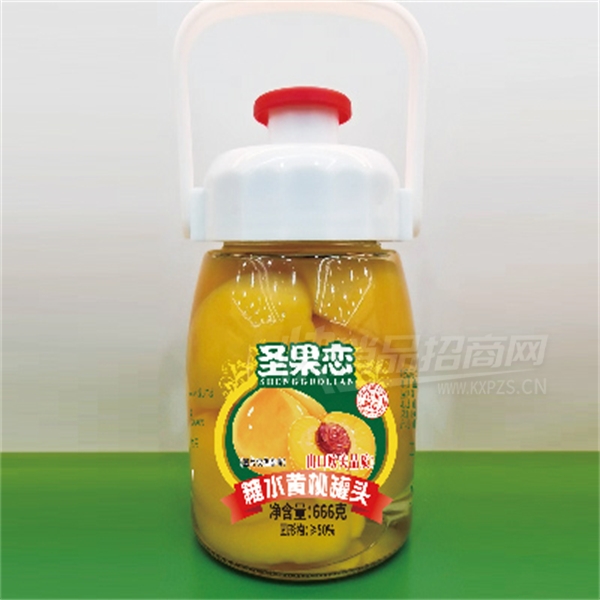 ʥˮͷʳƷˮҹͷ666˲Ʒͼ