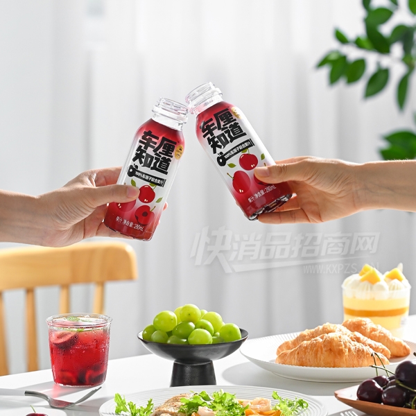 ����֪�������Ӹ��Ϲ�֭����������Ʒͼ