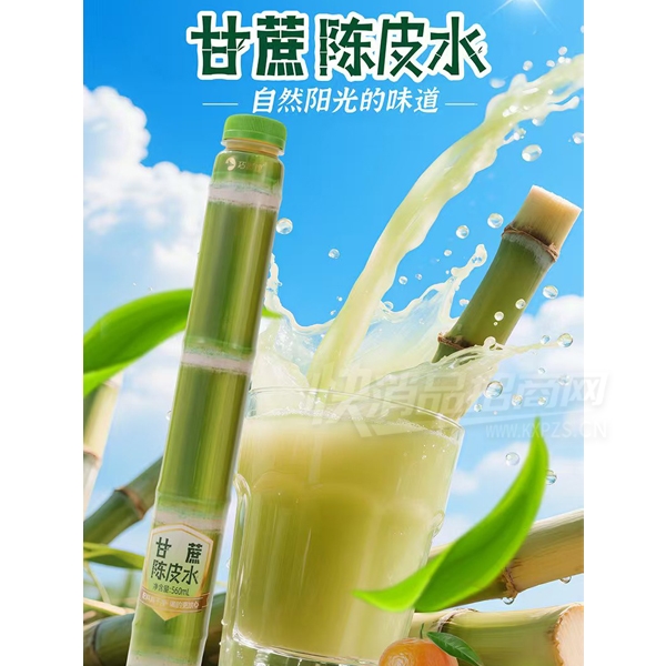 �ɺ�������Ƥˮֲ������560ml��Ʒͼ