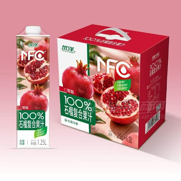 ���󸴺Ϲ�֭ʯ��֭1.25L��6