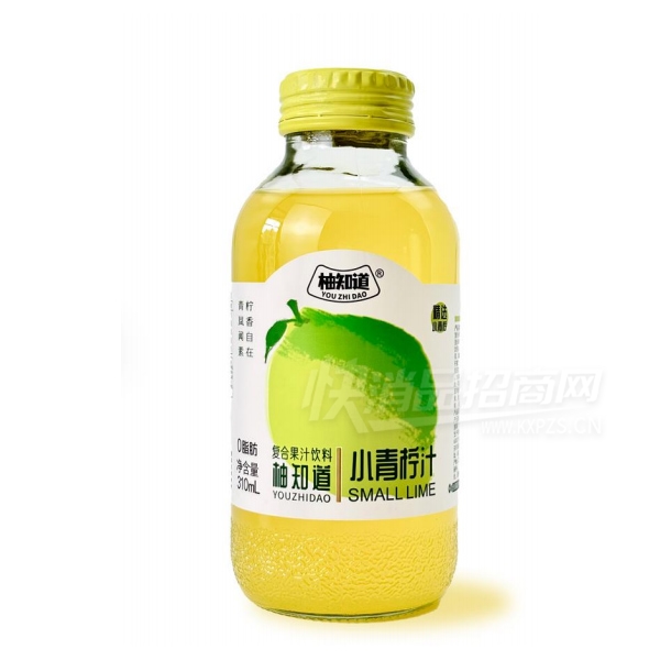 ��֪��С����֭���Ϲ�֭����310ml��Ʒͼ