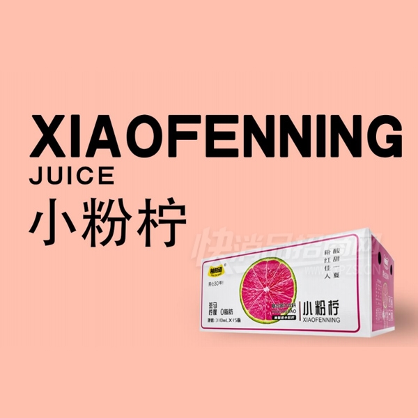 ��֪��С�������Ϲ�֭����310ml��15��Ʒͼ