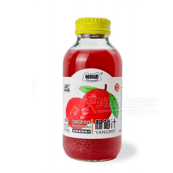 ��֪����÷֭���Ϲ�֭����310ml��Ʒͼ