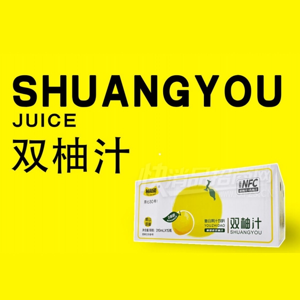 ��֪��˫��֭���Ϲ�֭����310ml��15��Ʒͼ