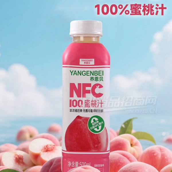 ����������֭NFC��֭����500ml