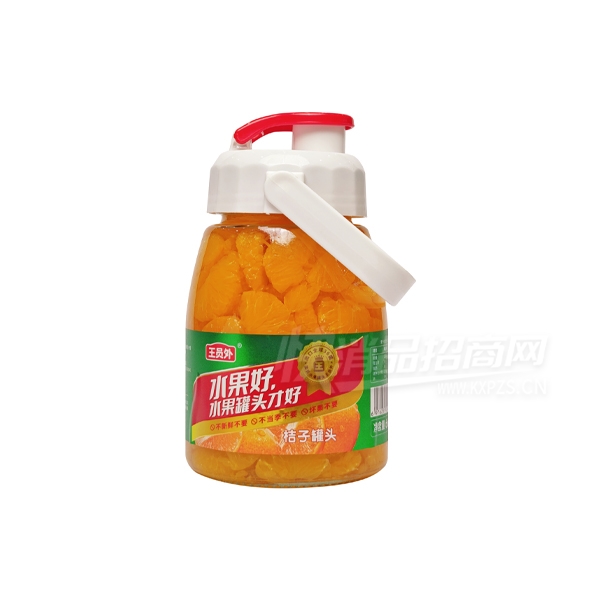 ��Ա��ˮ����ͷʳƷ666g���ӹ�ͷ��Ʒͼ