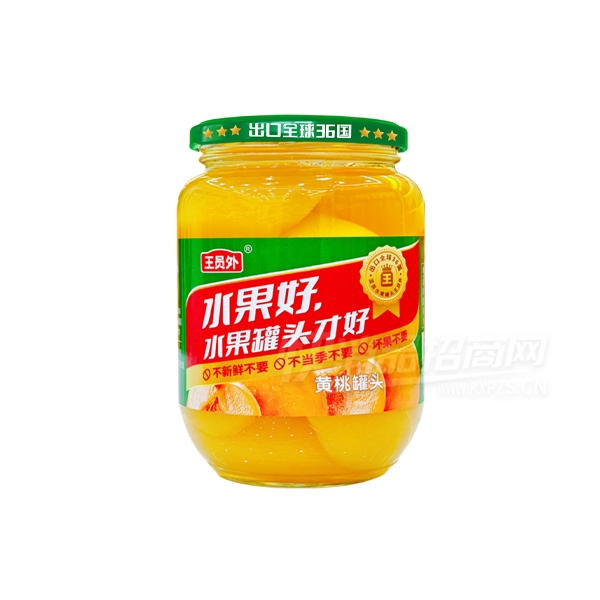 ��Ա��ˮ����ͷʳƷ510g���ҹ�ͷ