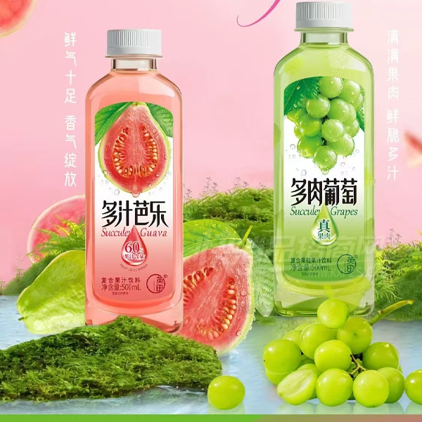 Ӣ�︴�Ϲ�֭������֭500ml