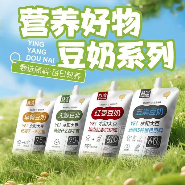 谷淦植物蛋白饮品300g豆奶早餐饮品