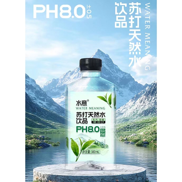 ˮմȻˮƷëζ380ml