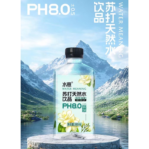 ˮմȻˮƷζ380ml