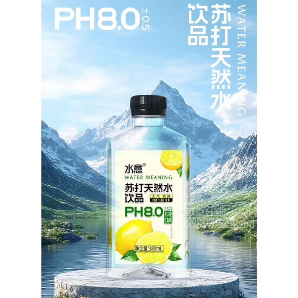 ˮմȻˮƷζ380ml