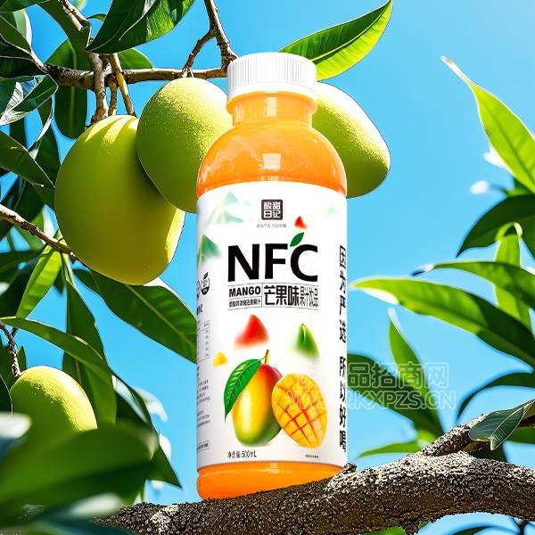 ռNFCâ֭֭Ʒ500mlƷͼ