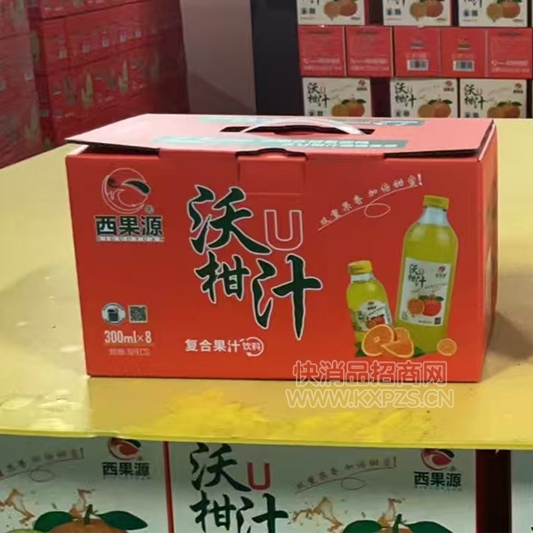 ����Դ��֭�����ָ�֭�������300ml