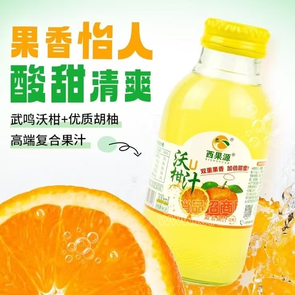 ����Դ��֭�����ָ�֭��������300ml