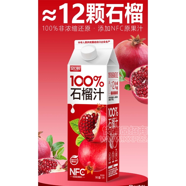 ڿ100%֭ݶװ1Lʯ֭
