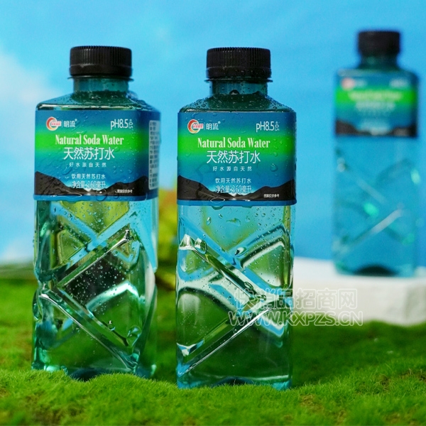 ������Ȼ�մ�ˮ����ˮ360ml