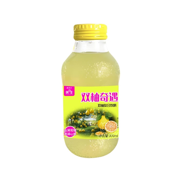������˫��֭���Ϲ�֭300ml