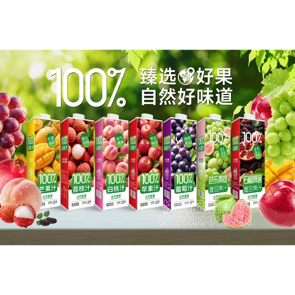 �������㸴�Ϲ�֭����1.25��