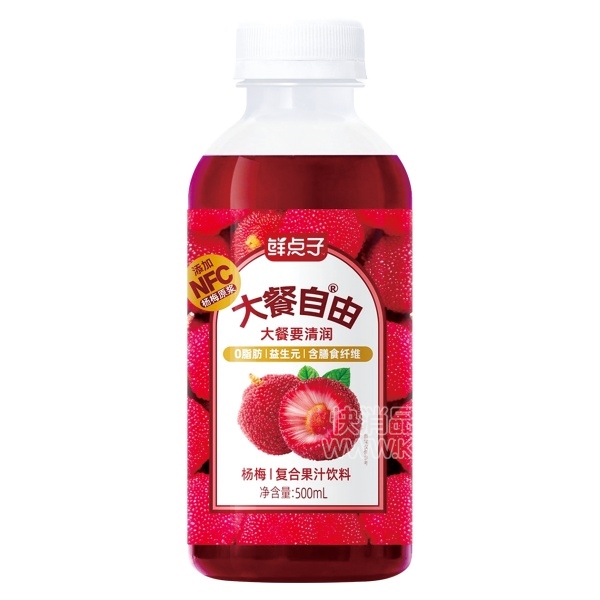 ʵӴɸϹ֭500ml÷֭