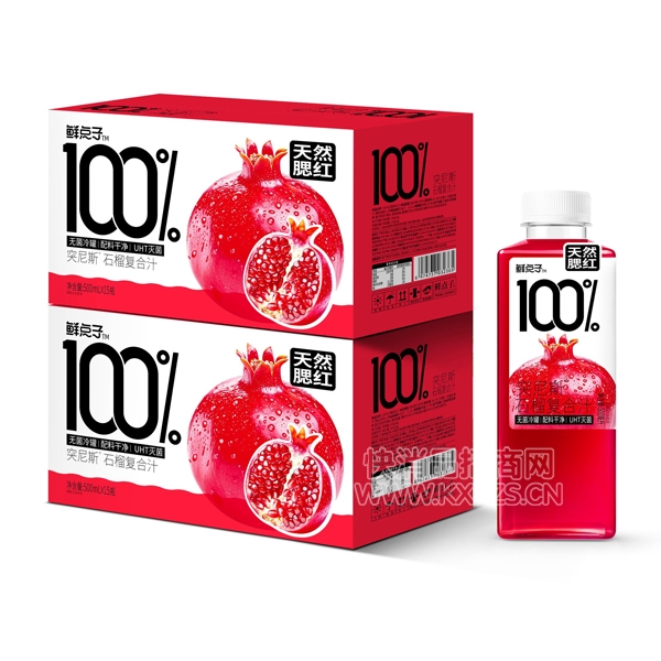 ʵ100%֭ͻ˹ʯ֭500ml15