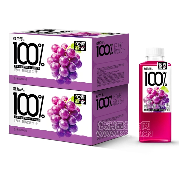 ʵ100%֭Ͼ޷֭500ml15