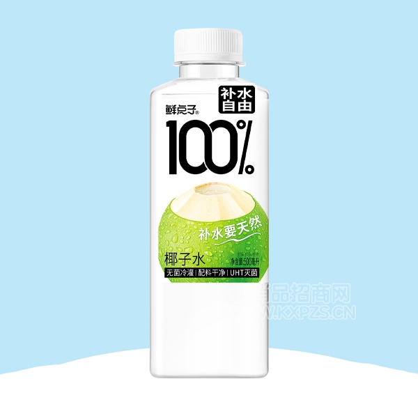ʵ100%֭Ҭˮ500ml