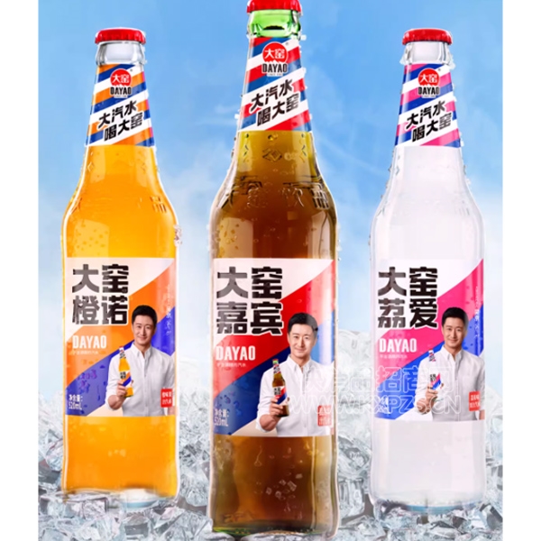 ��Ҥ�α���ˮ̼������500ml