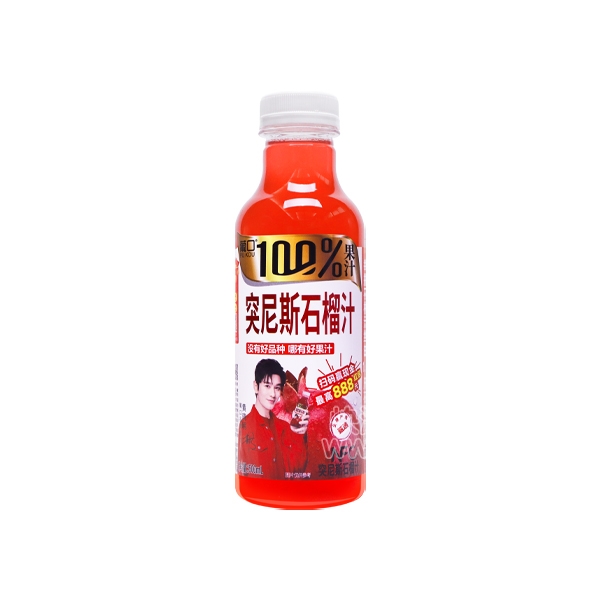 Ͽ100%ͻ˹ʯ֭500mlн棩