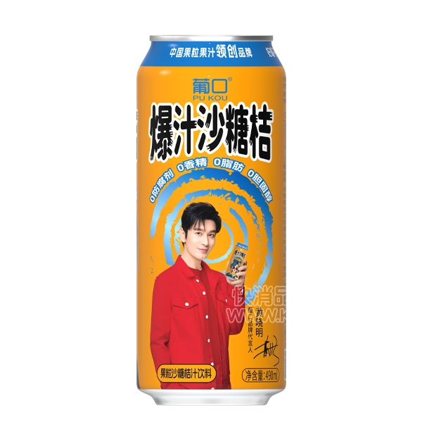 Ͽڹɳǽ֭490ml