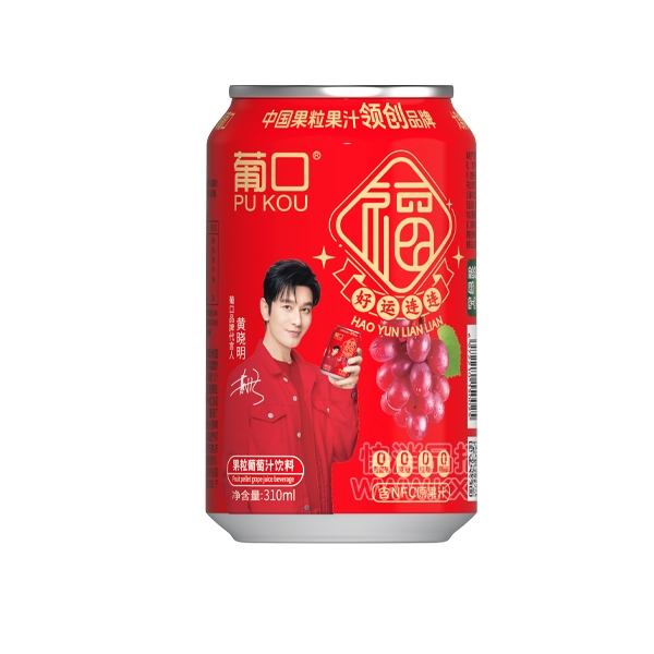 Ͽڹ֭310ml