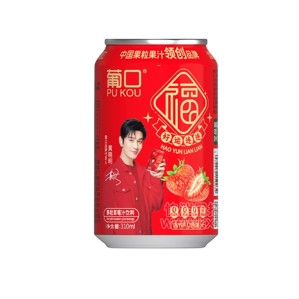 Ͽڹݮ֭310ml