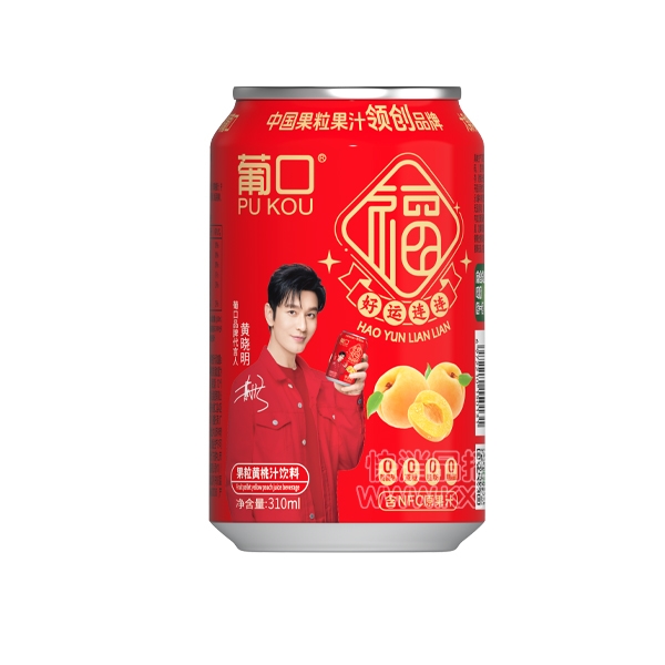 Ͽڹ֭310ml
