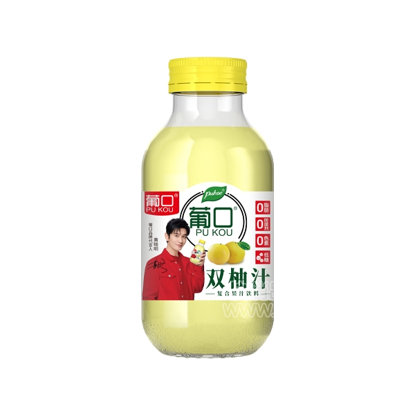 Ͽ˫֭Ϲ֭300ml