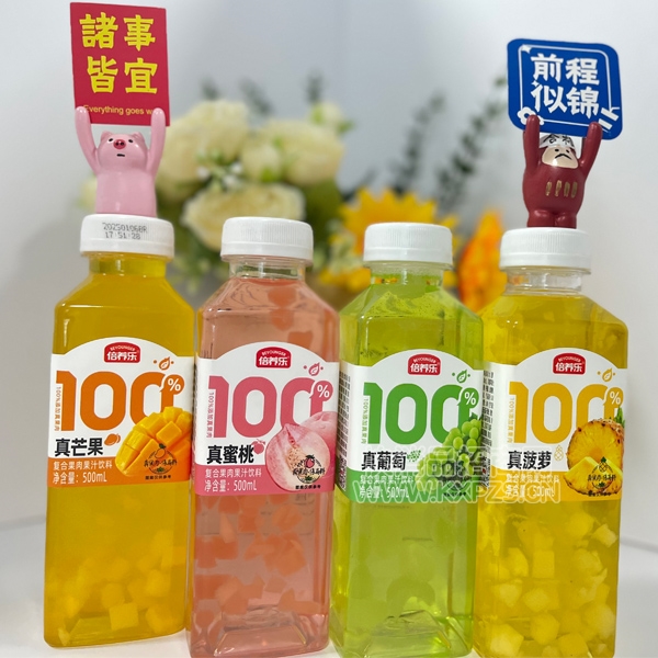 �����ֹ����֭���ϸ��Ϲ�֭500ml