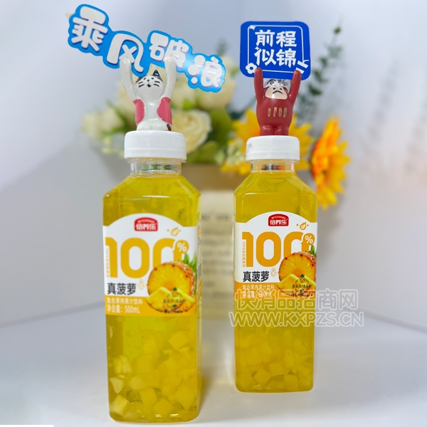 �����ֹ����֭���ϸ��Ϲ�֭500ml����֭