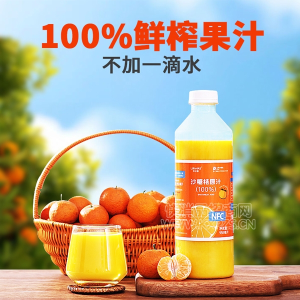 Ļɳǽ۹֭950ml