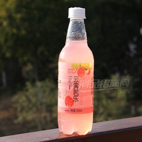 ʱˮ500ml̼ˮ