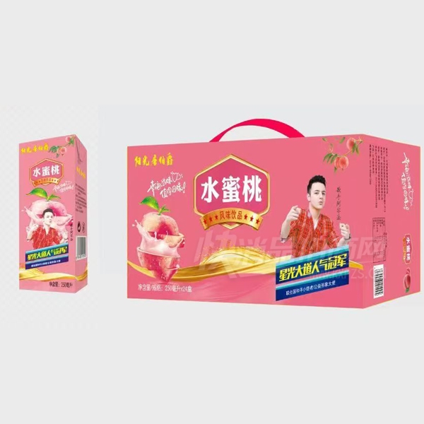 �����Ʋ���ˮ���ҷ�ζ��Ʒ250ml��24�в�Ʒͼ