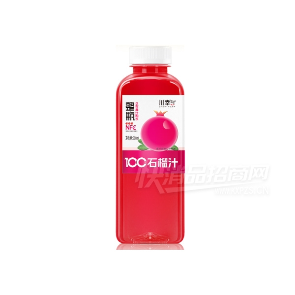 ����NFC��֭��Ϲ�֭ʯ��֭500ml
