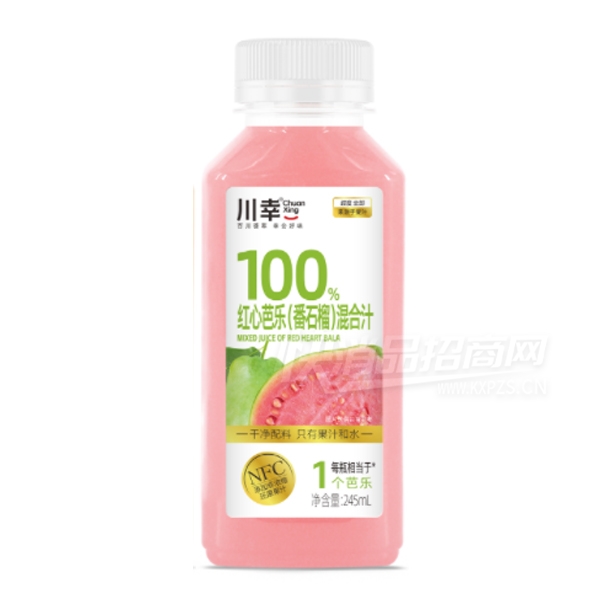 ���һ�Ϲ�֭NFC��֭���İ��ַ�ʯ��֭245ml