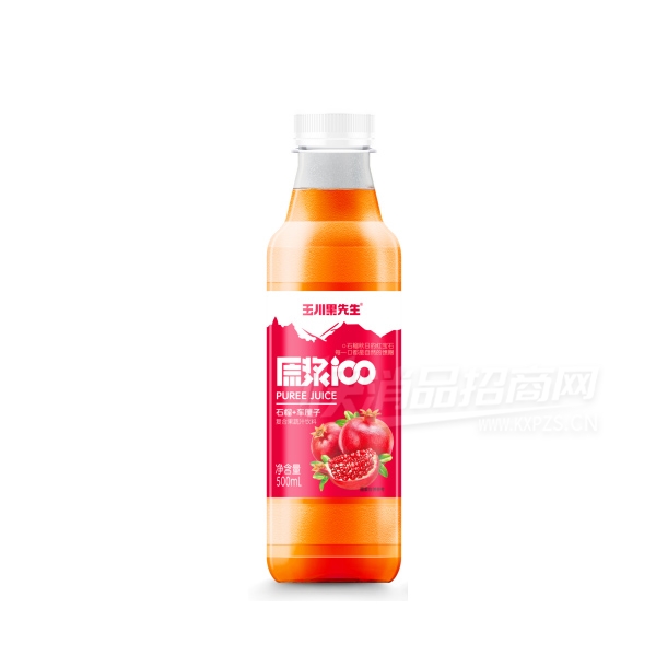 񴨹ԭ֭ʯ֭500ml