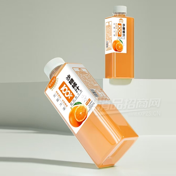 ����̹�֭����ɳ����֭500ml